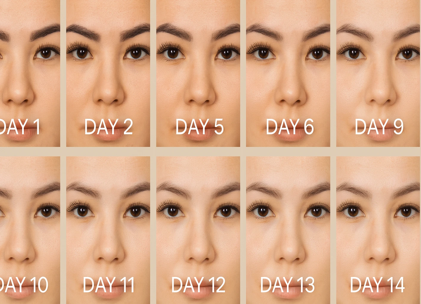 Contoh visual Proses Healing Sulam Alis