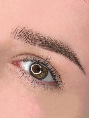 teknik Delogy Sulam Alis Hairstroke