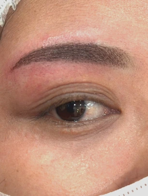 Model Sulam Alis Mistypowder